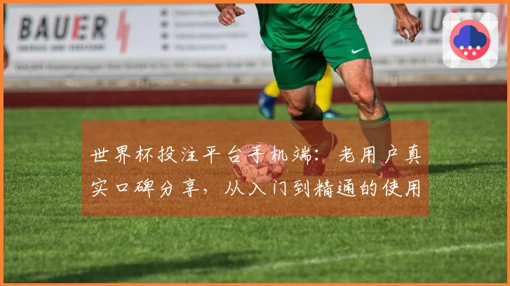 世界杯投注平台手机端：老用户真实口碑分享，从入门到精通的使用全攻略