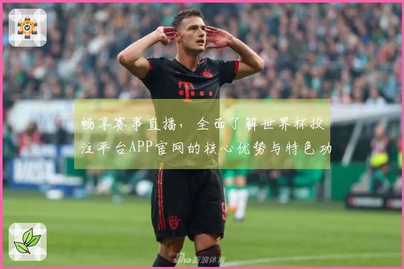 畅享赛事直播,全面了解世界杯投注平台APP官网的核心优势与特色功能