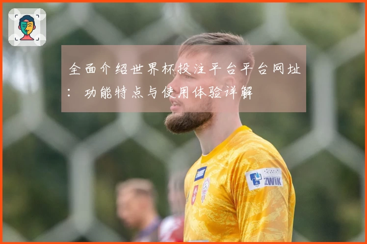全面介绍世界杯投注平台平台网址：功能特点与使用体验详解